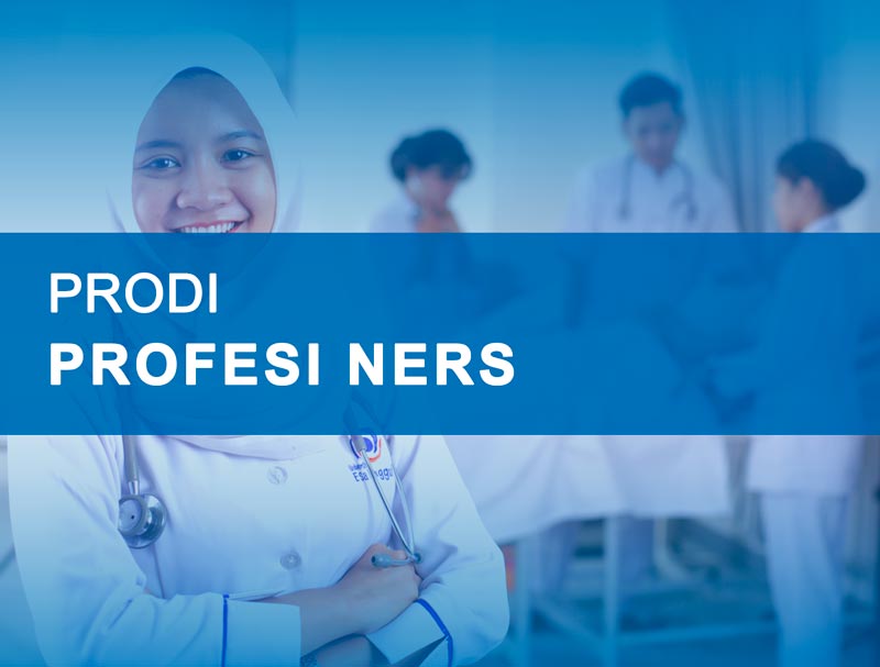 Profesi Ners